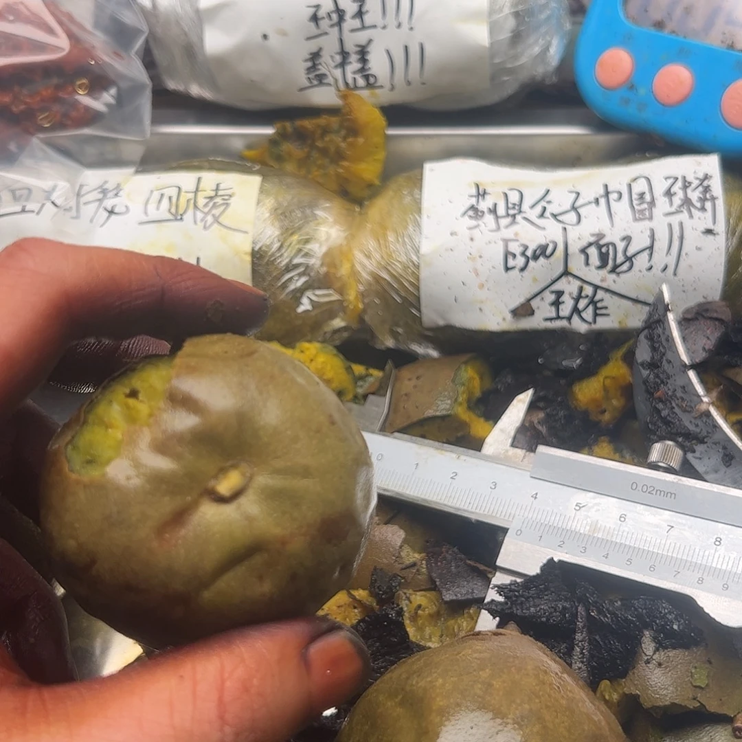 我***得风云一号哈哈哈哈哈哈哈哈