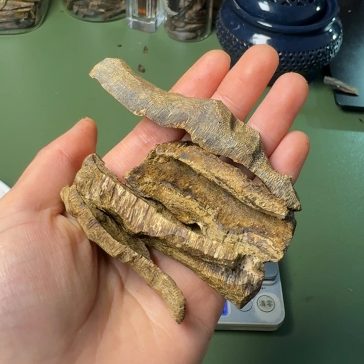 沉香手把件秋**境海南天然野棋楠鸡母虫老香块料17.4克