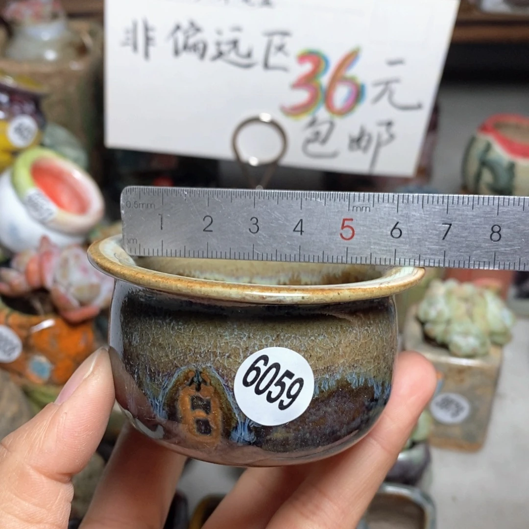 花盆拍5个送一个小礼物