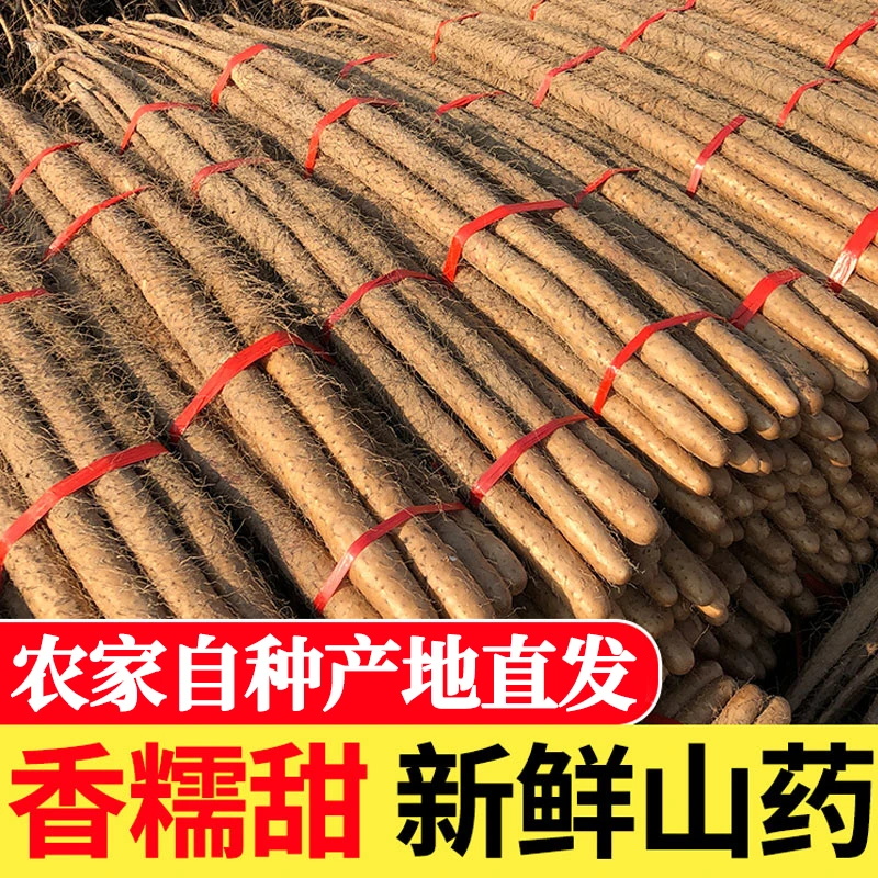 【小曾专属】5斤特大果正宗铁棍山药软糯新鲜营养产地直发天然品质