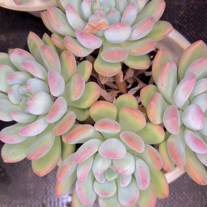 l***n224////////////////////