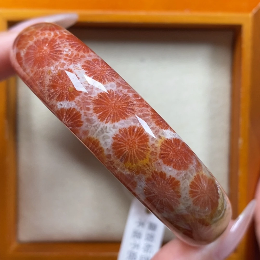 硅化珊瑚（珊瑚玉）手镯未镶嵌59.5圈口