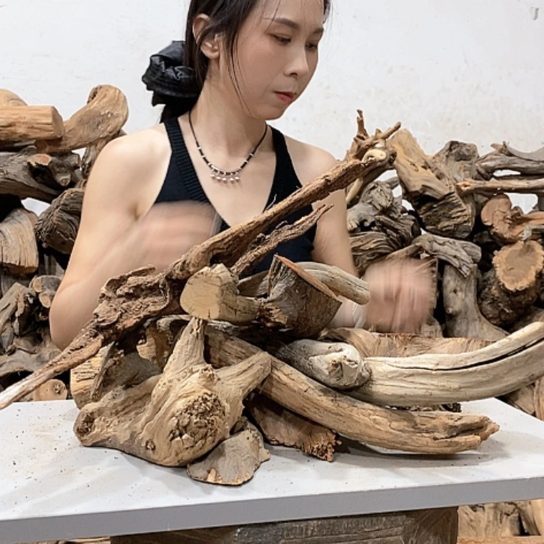 【闪购商品】柏木-*-我们都是好孩子