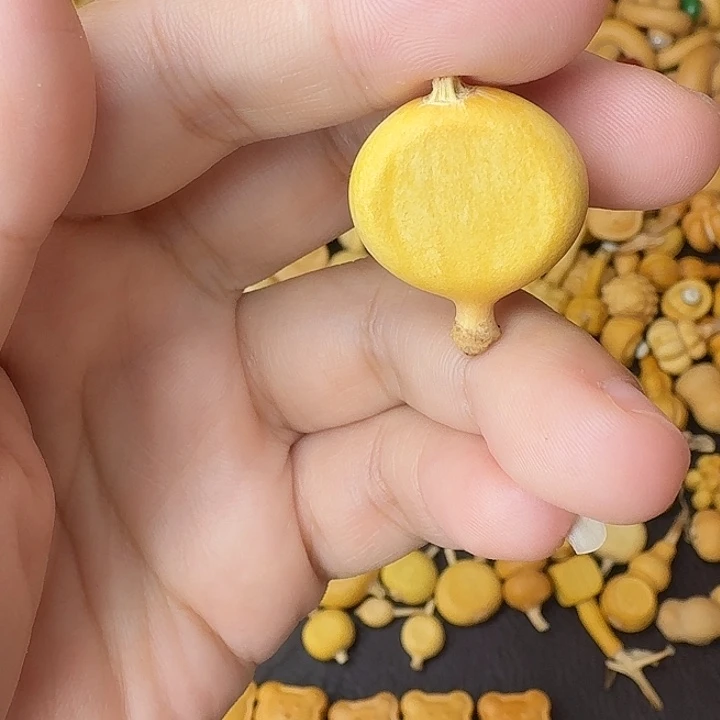 临***雨葫芦笙是个小妖精吧呜呜啊哈哈呜呜