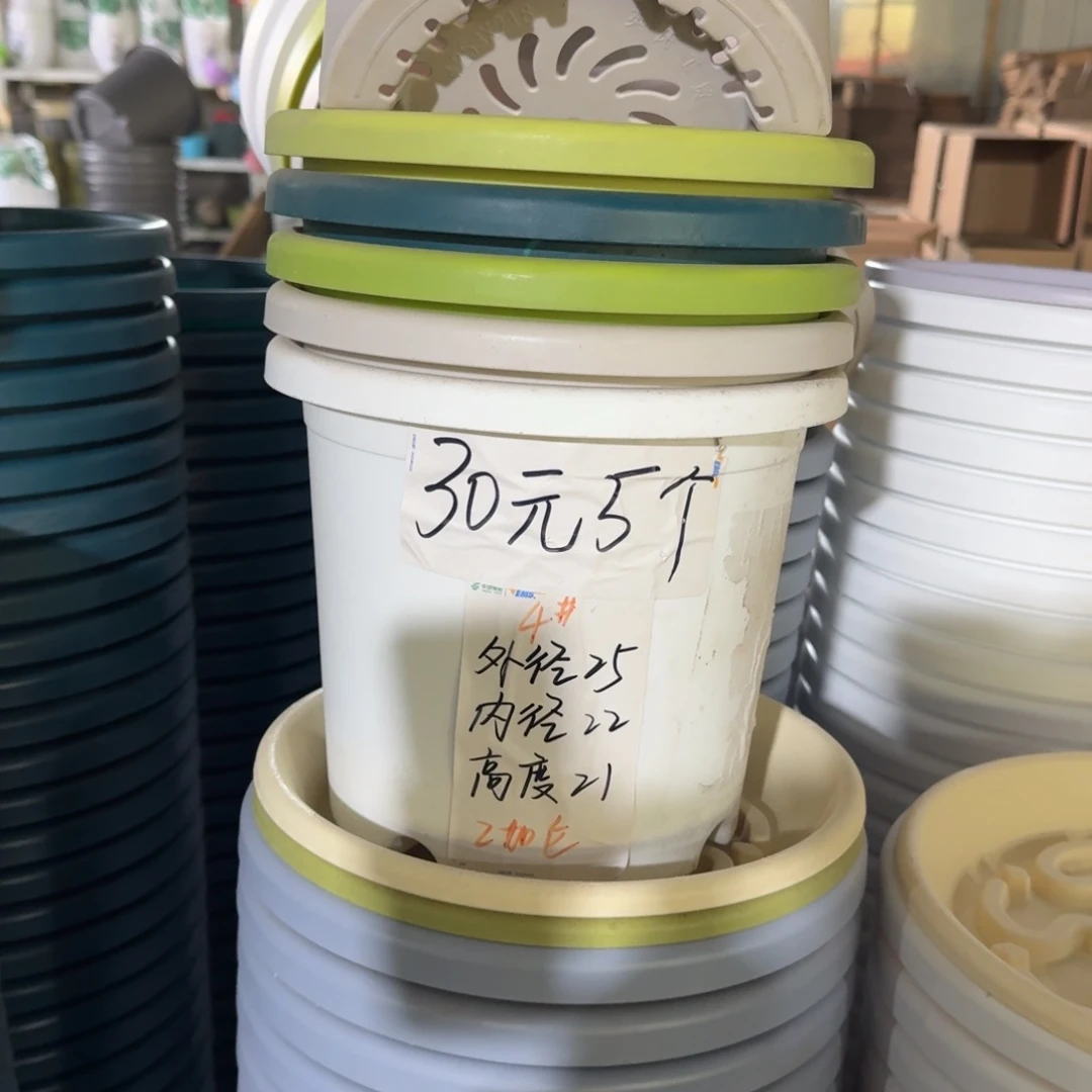 四季4#口径25无拖果绿5个