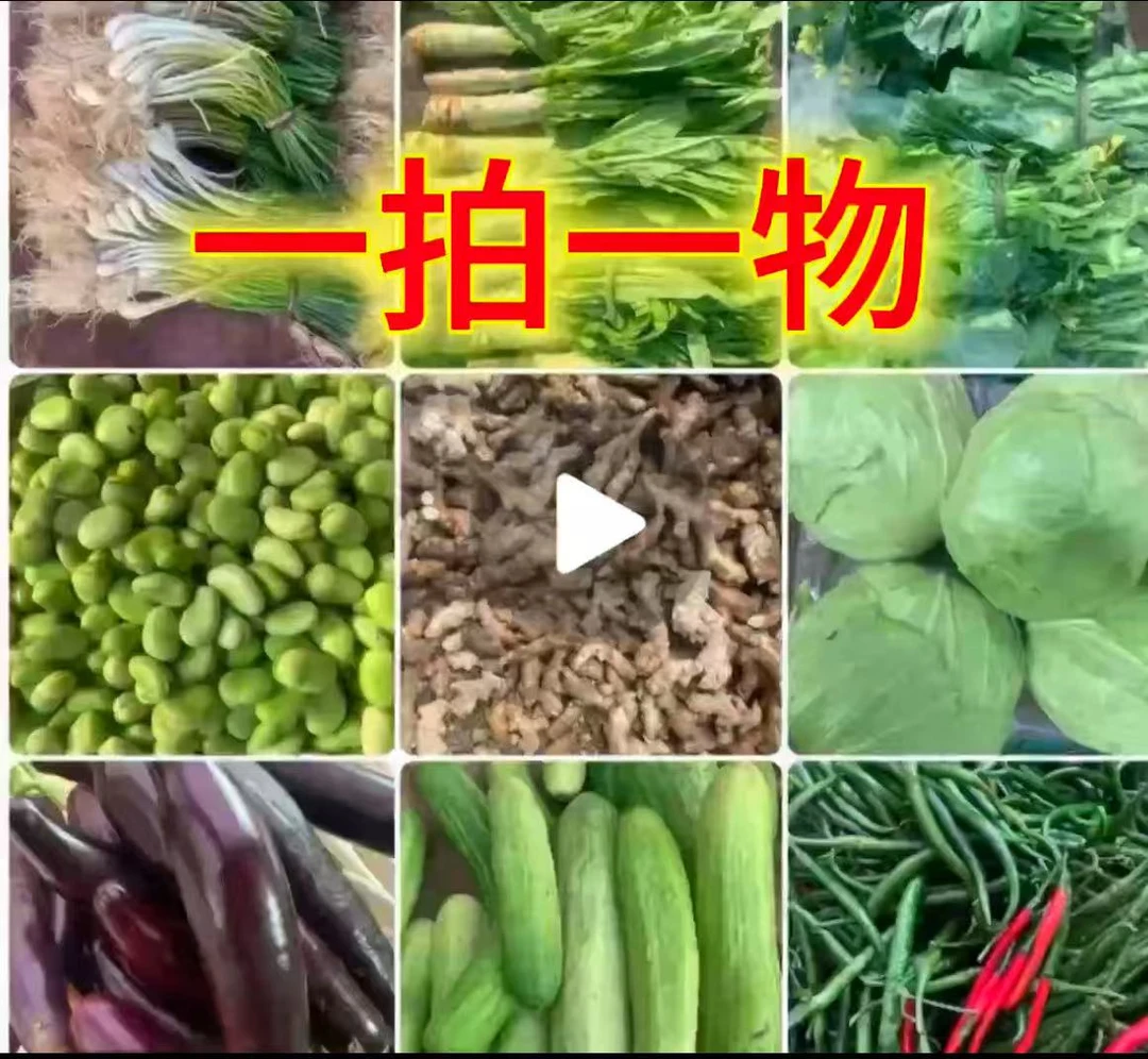 江西农家辣椒新鲜土辣椒青椒自种特辣爆辣现摘现发薄皮辣味十足