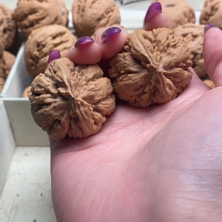 咕***叽霸王龙全品无修一刀没动