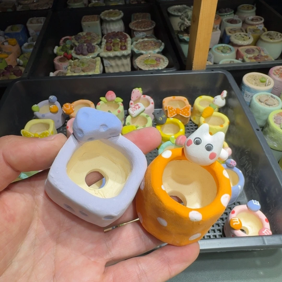 红陶嘟*熊蘑菇682花盆