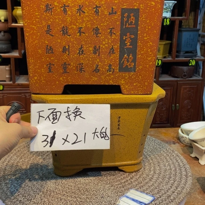 紫砂花盆紫砂花盆