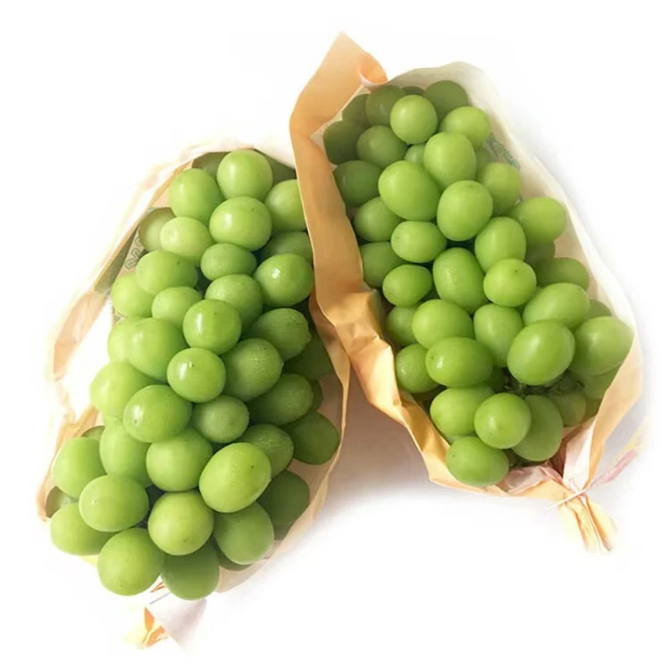 [大牛夫妇专属】云南宾川青提阳光玫瑰1.5kg装顺丰发货