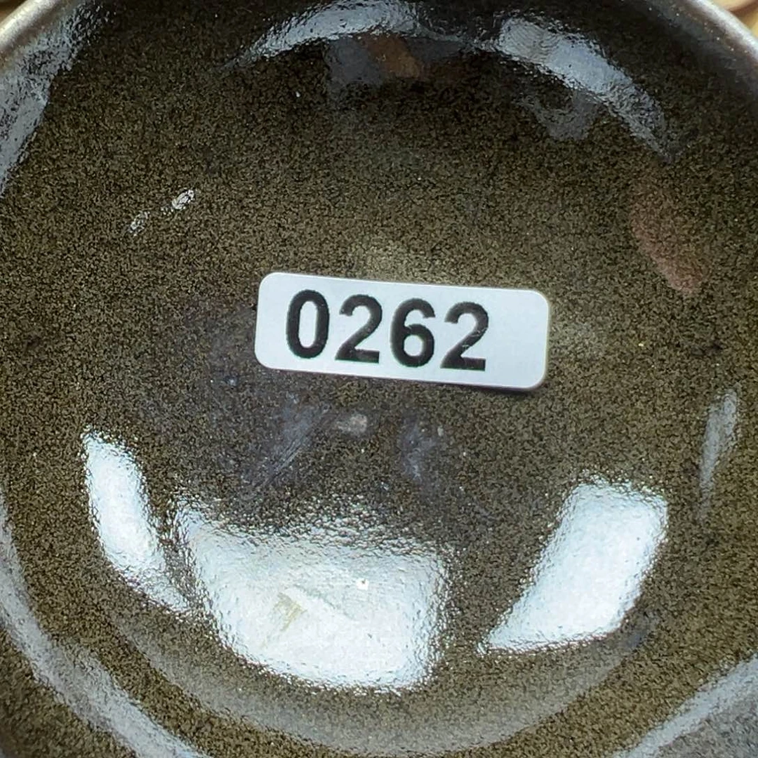 茶盏?*控用原相机拍摄也毫不失色的美貌