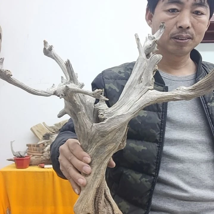 风车木（黑檀木）用****3