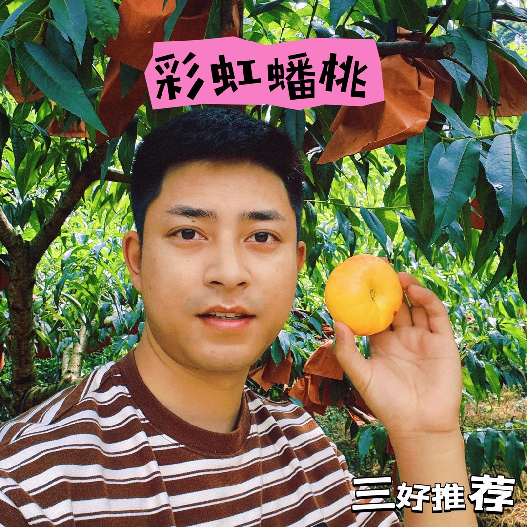 三好推荐-彩虹蟠桃 桃子控软桃党闭眼入产地直发