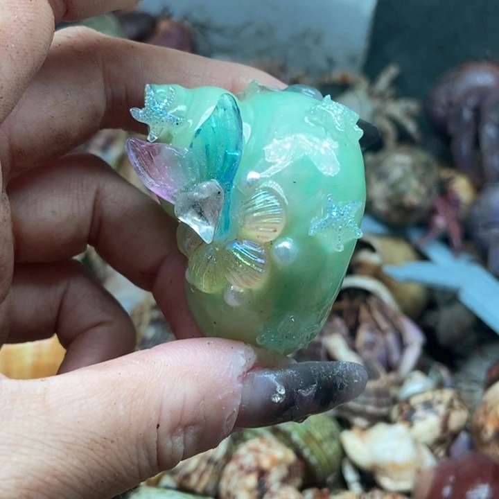 壳子壳子壳子壳子