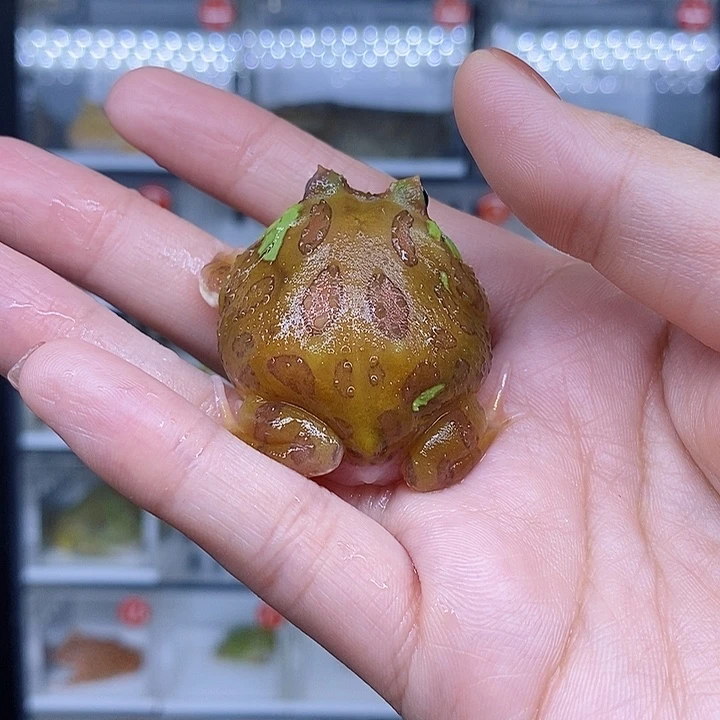 特价秒杀现货特价