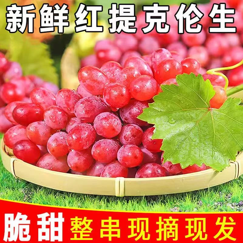 克伦生葡萄无籽红提当季新鲜水果现摘玻璃脆纯甜无核提子