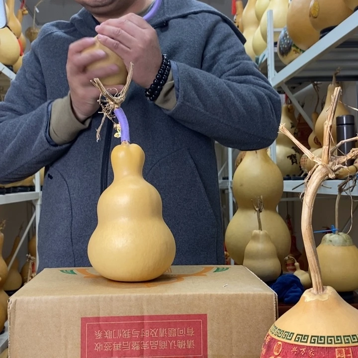 L****可以拍了啊啊啊啊