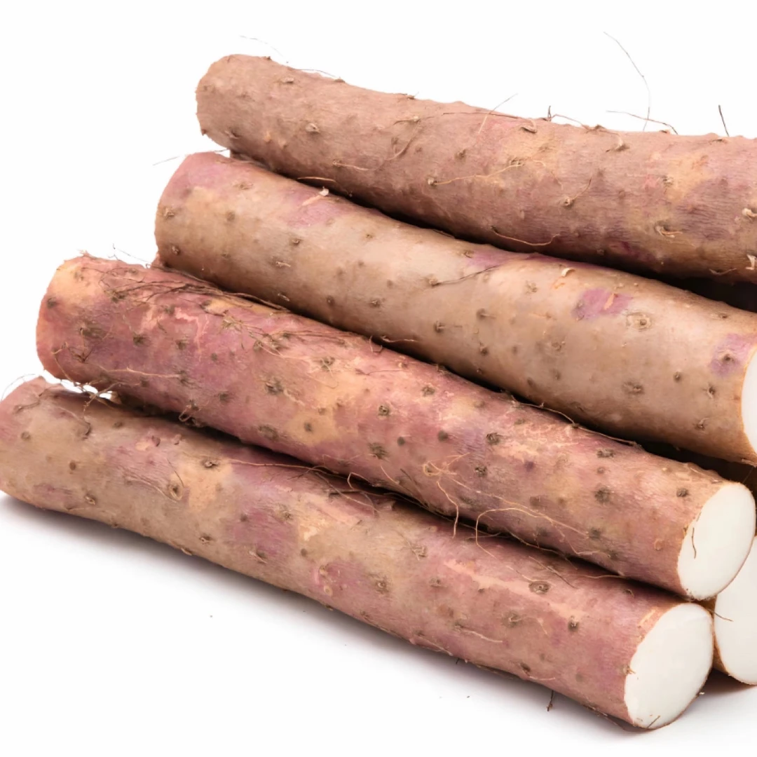 新鲜应季现挖现发正宗垆土铁棍山药产地直发农产品