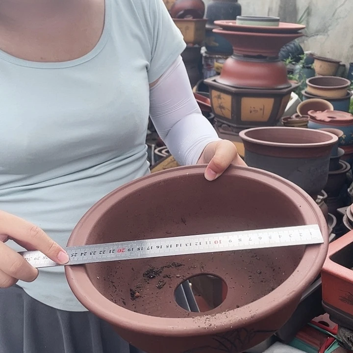 A966花盆花盆花盆花盆花盆