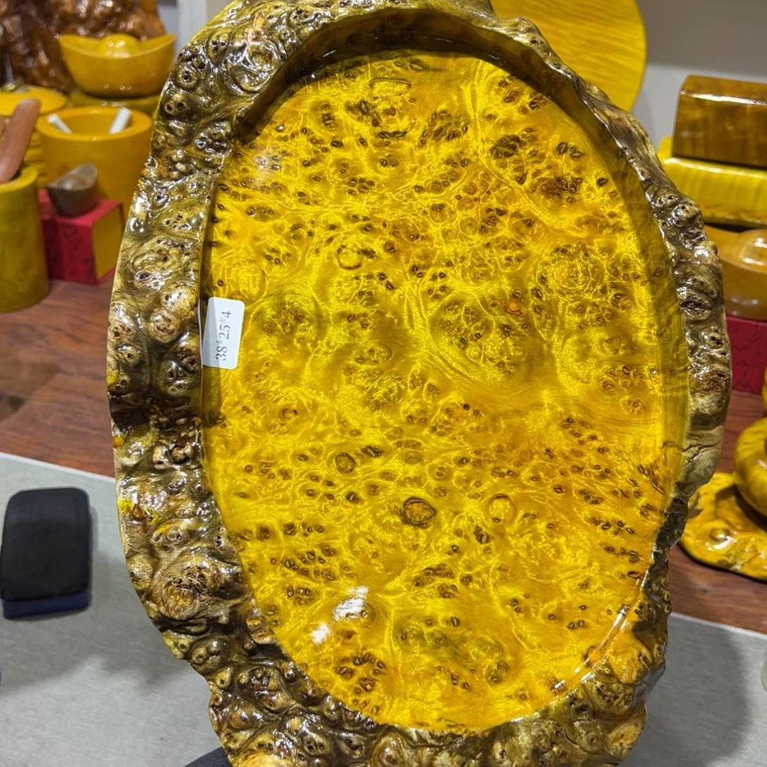 黄金樟8888888887877788