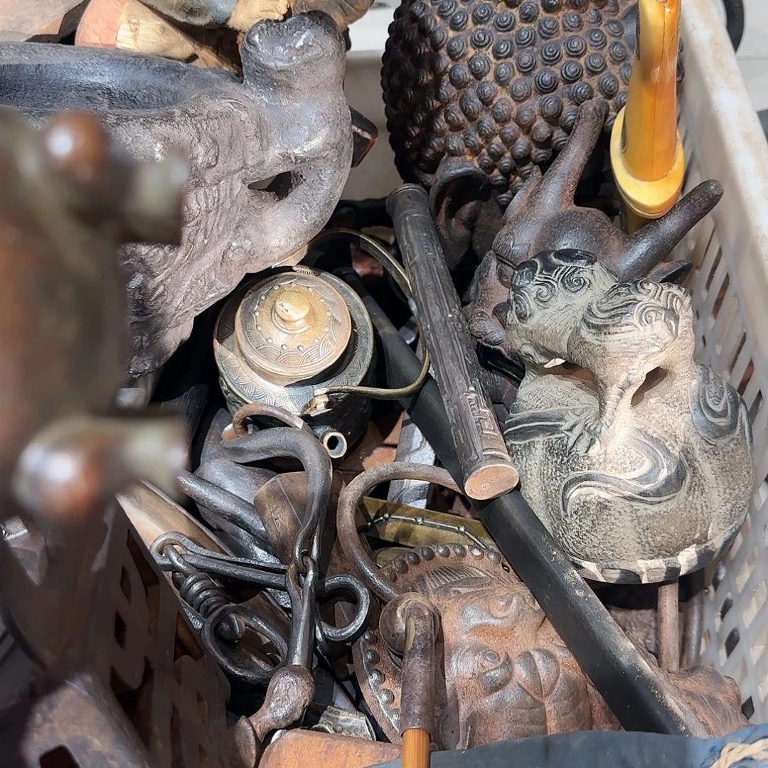 智***星一物一图看好在拍