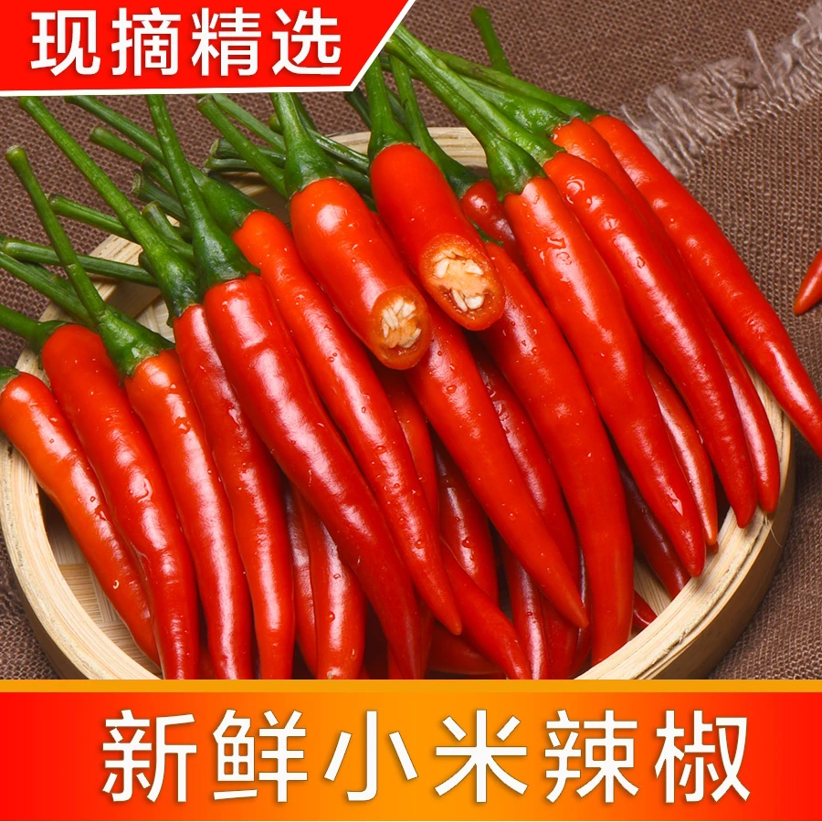 特辣小米椒现摘现发小米辣新鲜红辣椒薄皮辣椒朝天椒