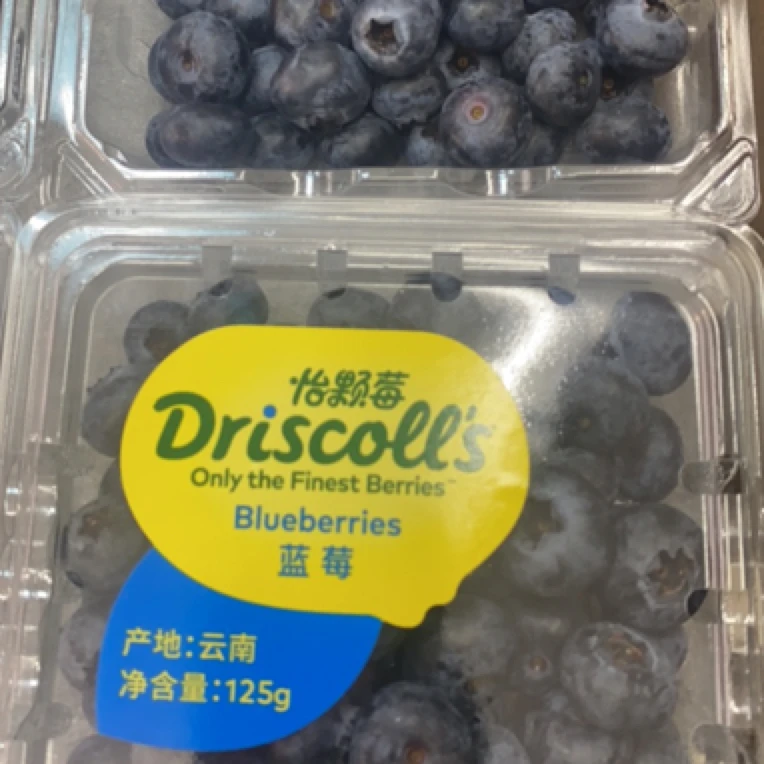 怡颗莓009蓝莓一盒