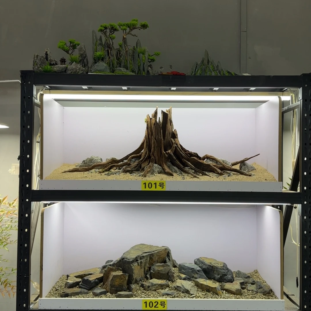 101号，散发编号，1米左右