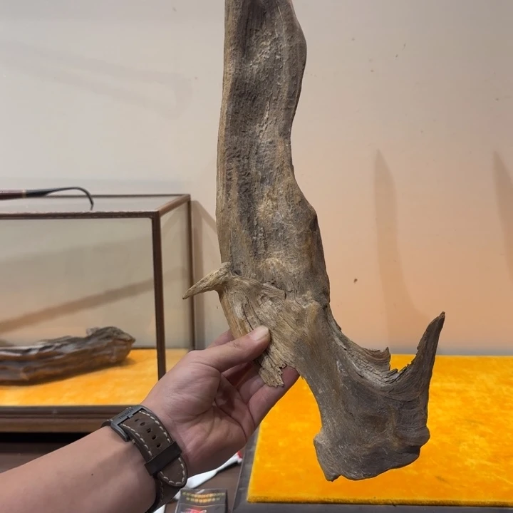 兜****柏木（崖柏）好喜欢你这个造型诶小女孩真的