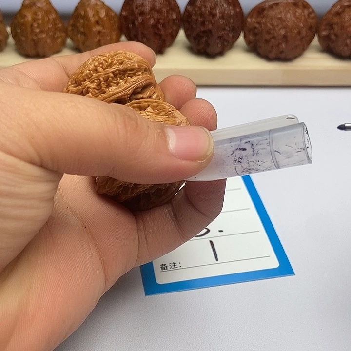 吊坠龙脊菩提一号文玩