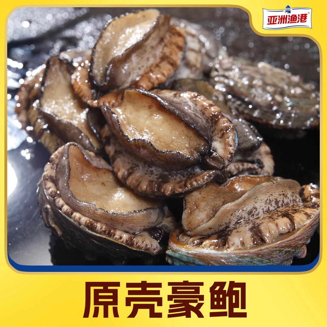 亚洲渔港 原壳豪鲍 冷冻原料鲍鱼320g/盒*2盒AHO