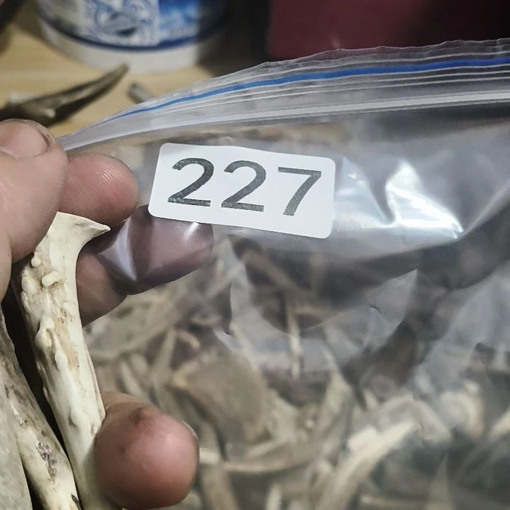 将***酒鹿角鹿角鹿角鹿角鹿角鹿角