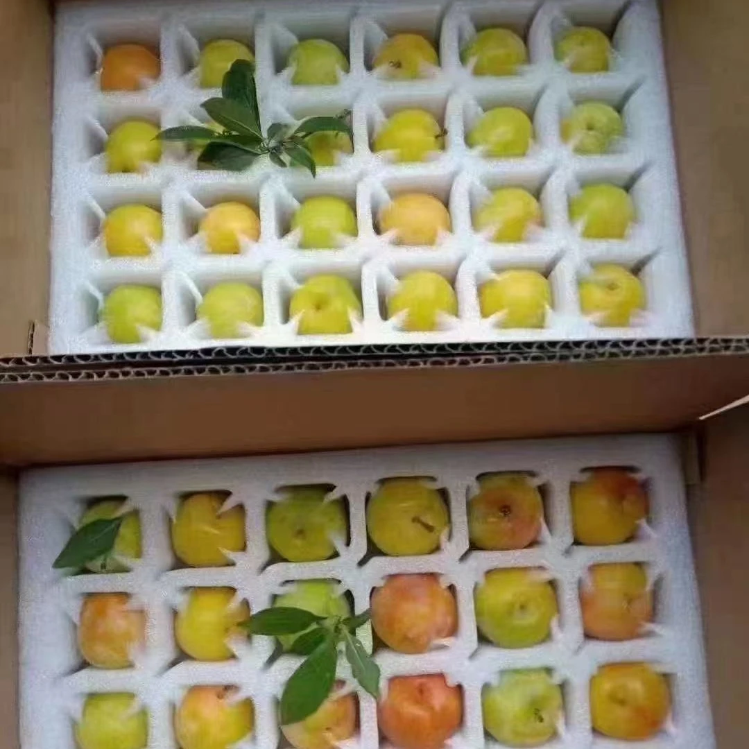 苏州东山时令水果  奈子  约5斤