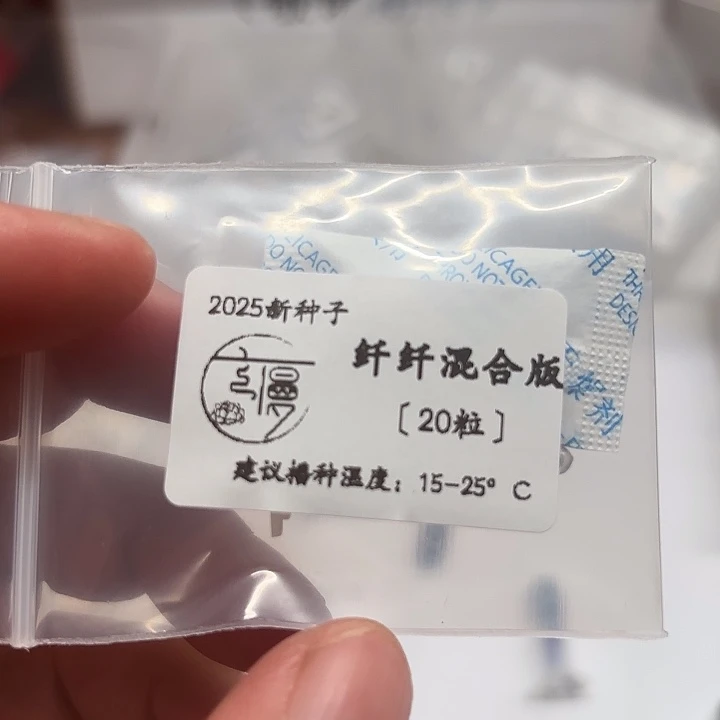 如图2025新种子糖心系纤纤20粒