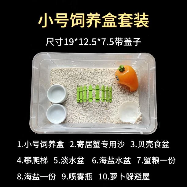 活物寄居蟹宠物饲养箱套装专用沙造景躲避屋水盆攀爬藤海盐螃蟹缸