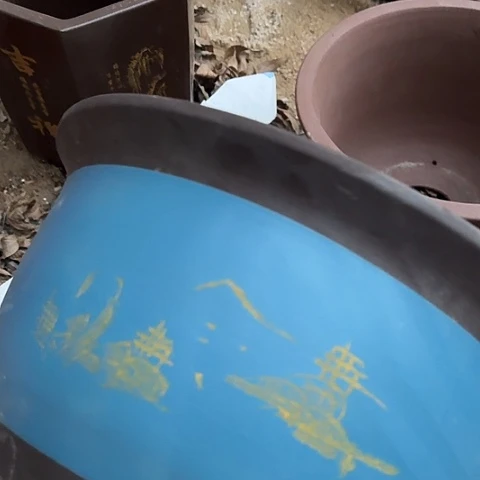 紫砂35蓝山花盆花盆