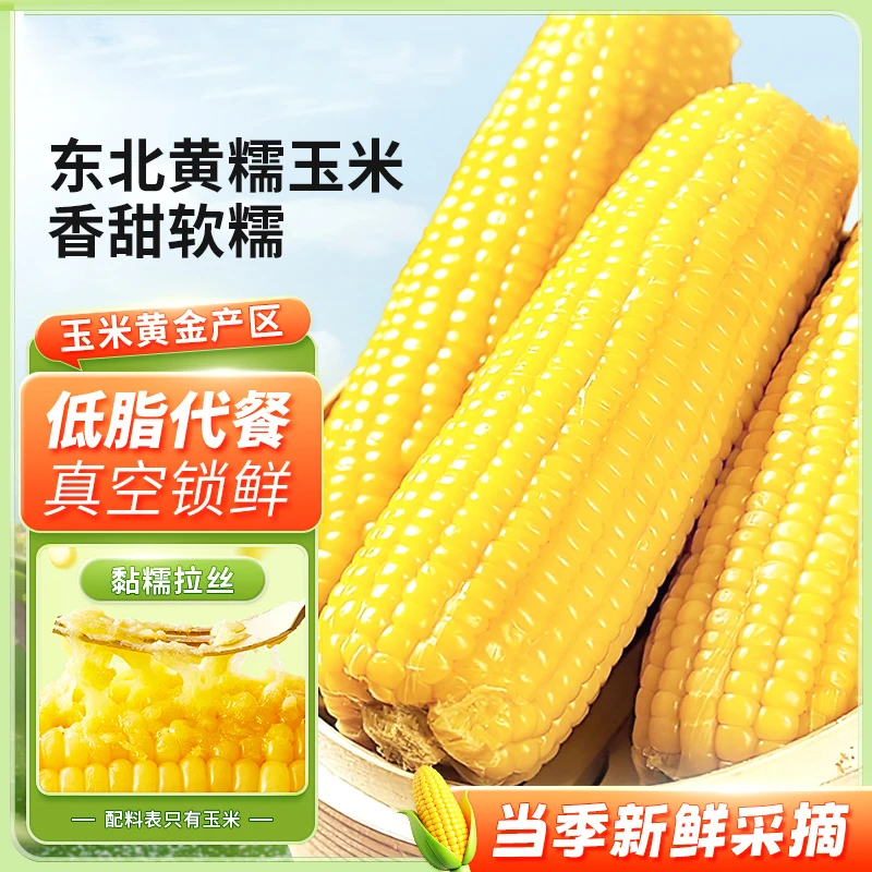 正宗东北糯玉米x10根 锁鲜真空包装 粗粮轻食 糯9鲜玉米