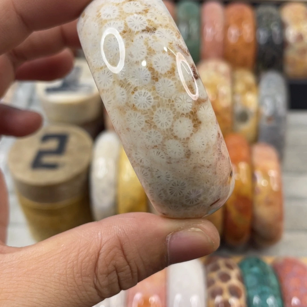 未镶嵌手镯硅化玉