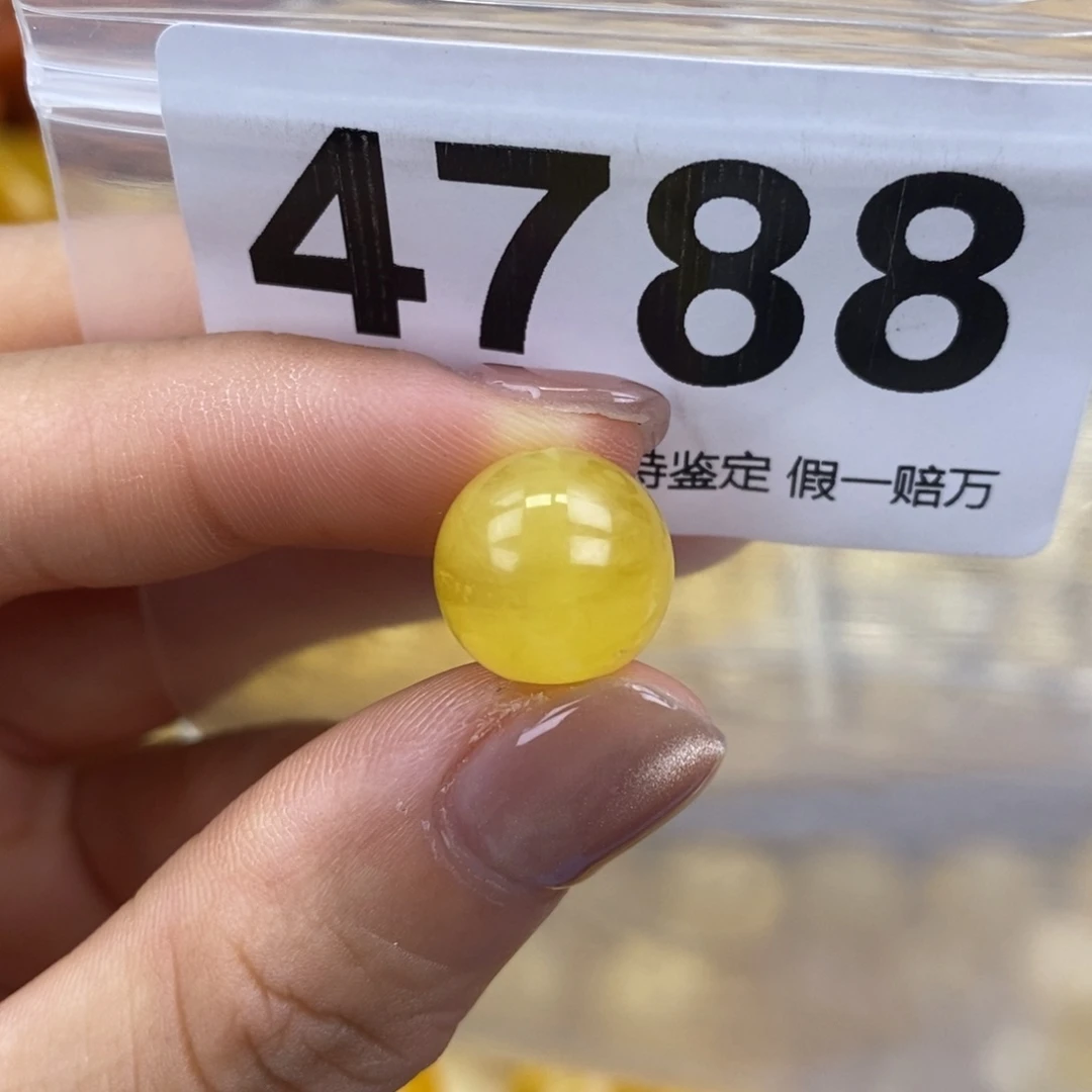 未镶嵌蜜蜡珠宝奇石12.1