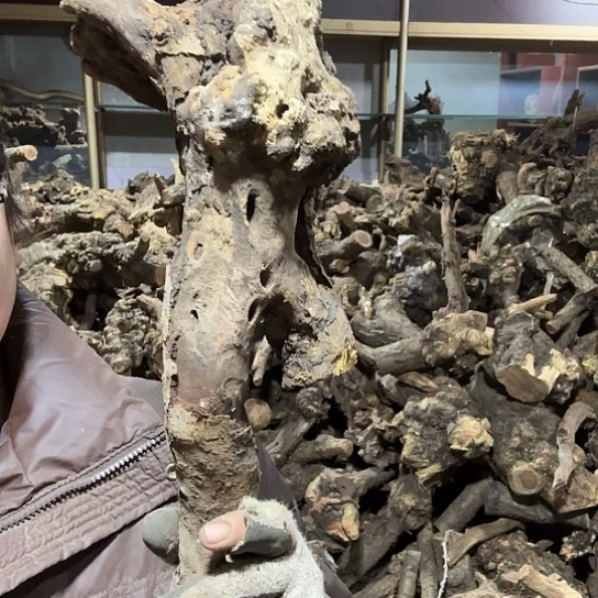 香榧木跳**恼火琉璃的毛料摆件