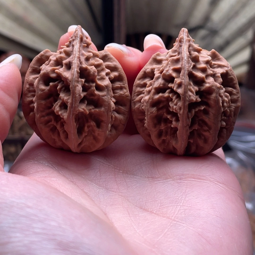 文玩核桃把件楸刀鱼44