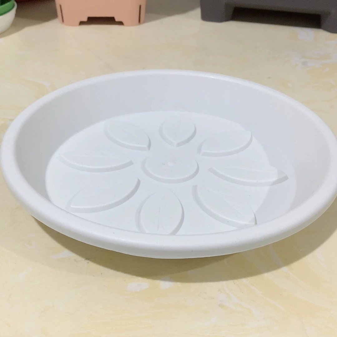 树脂托盘240白色5个