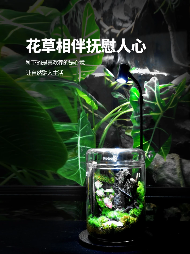 【Bioloark】[3瓦植物灯]微景观照明灯可搭配泡泡杯120露集杯