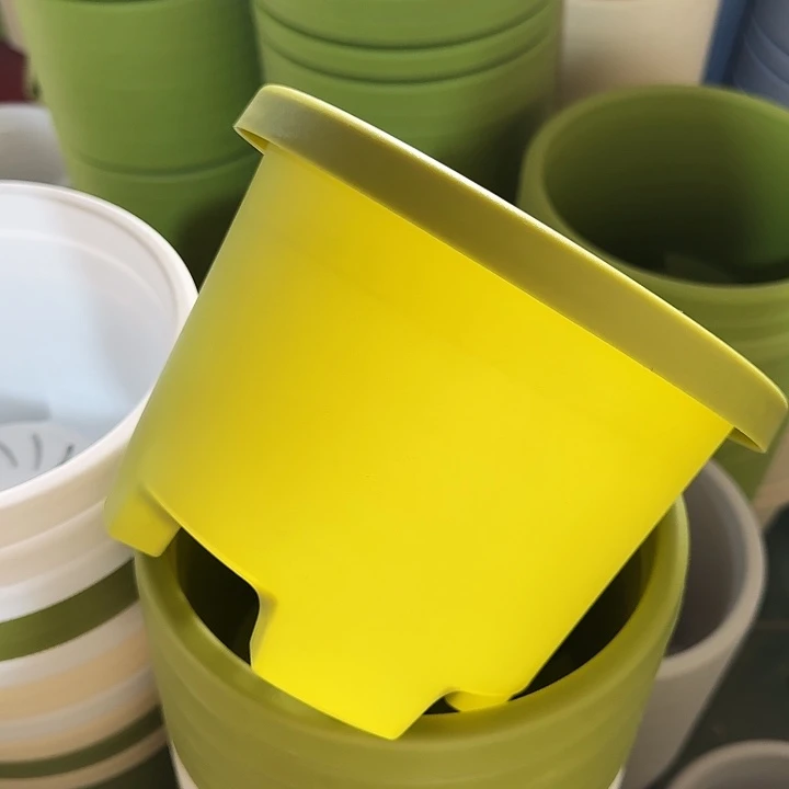 球根盆2号果绿无托10个