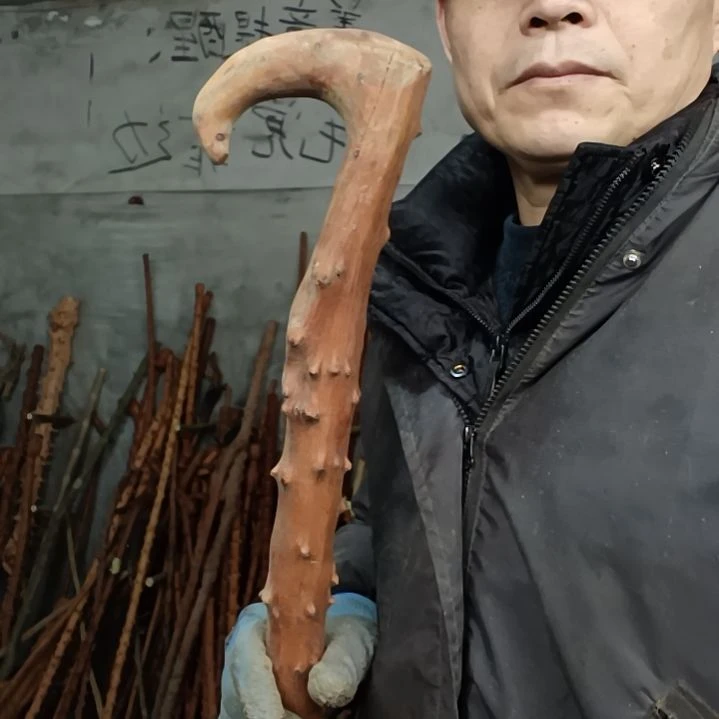 稳定木用****春贵州檬子木   铁马鞭   根艺  半成品