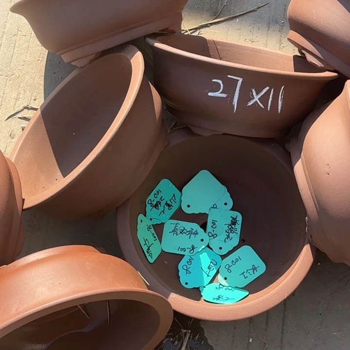 紫砂花盆               100-8