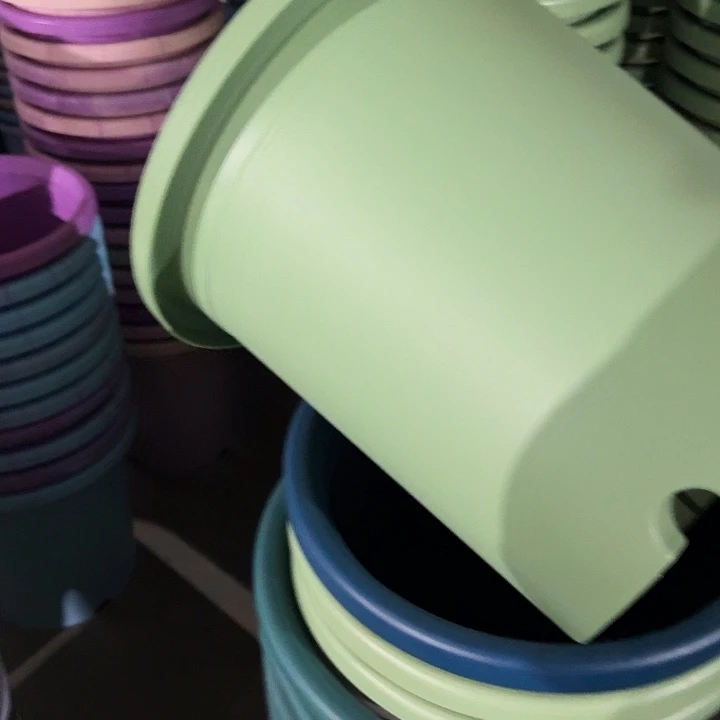 四季7号新绿色无托6个特价微瑕