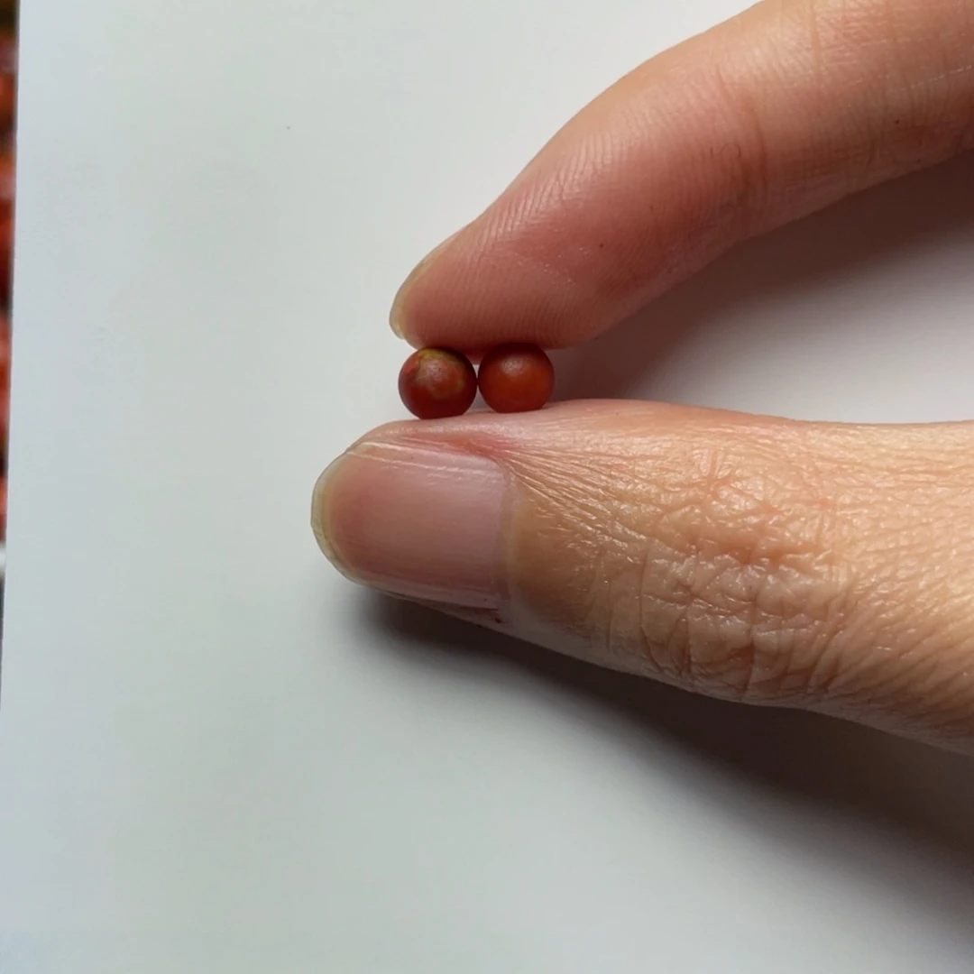 南红玛瑙手链未镶嵌l*