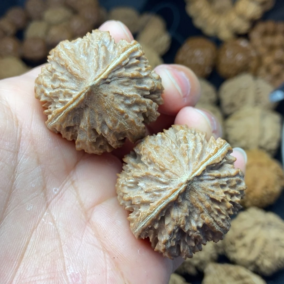 文玩核桃把件秦岭核桃野灯笼36