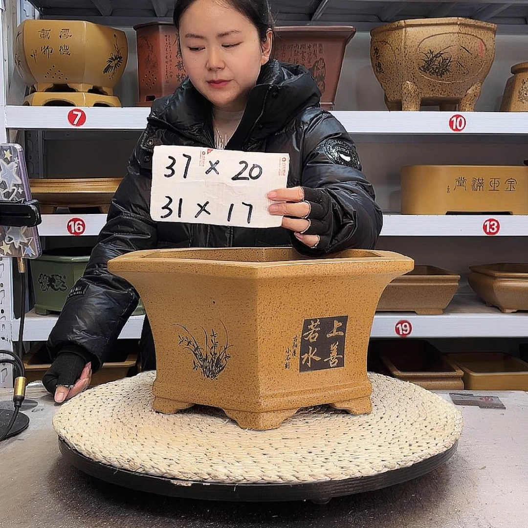 紫砂花盆紫砂花盆